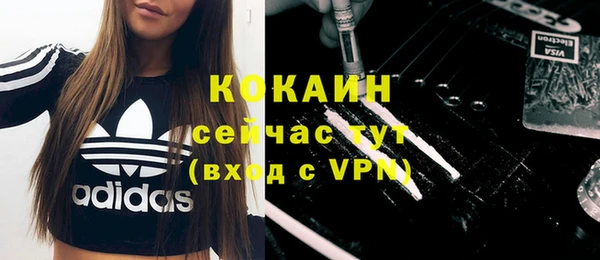 крисы Баксан