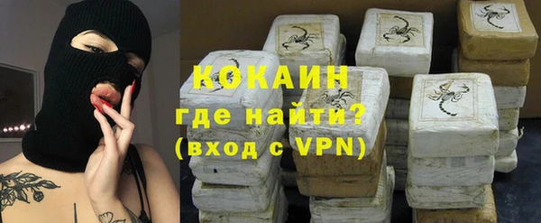 крисы Баксан